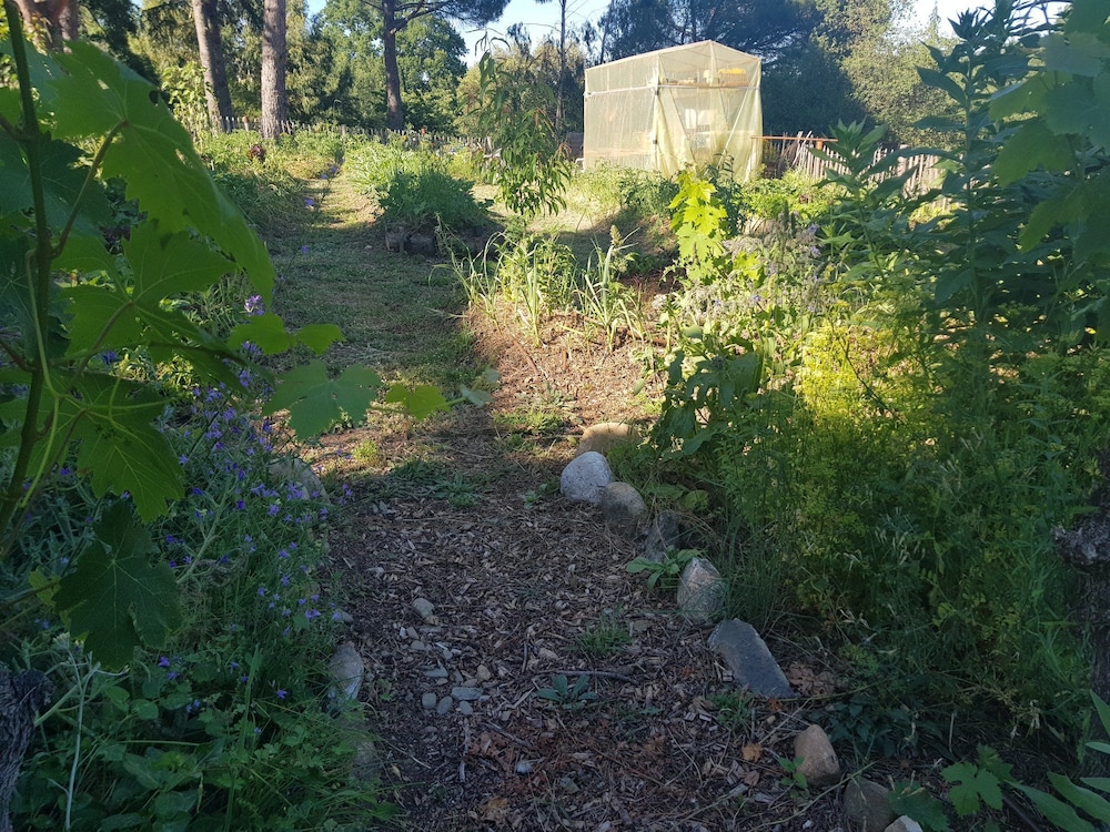 Photo 47