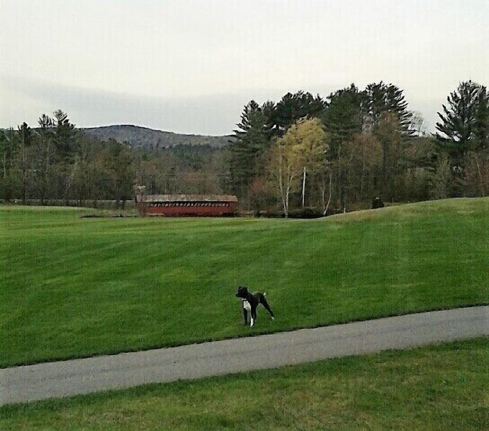 Jack O'Lantern Resort and Golf Course view 4