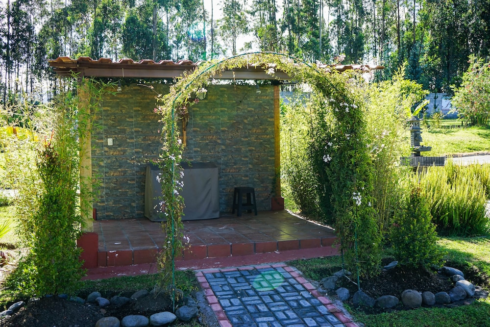 Ficus Lodge