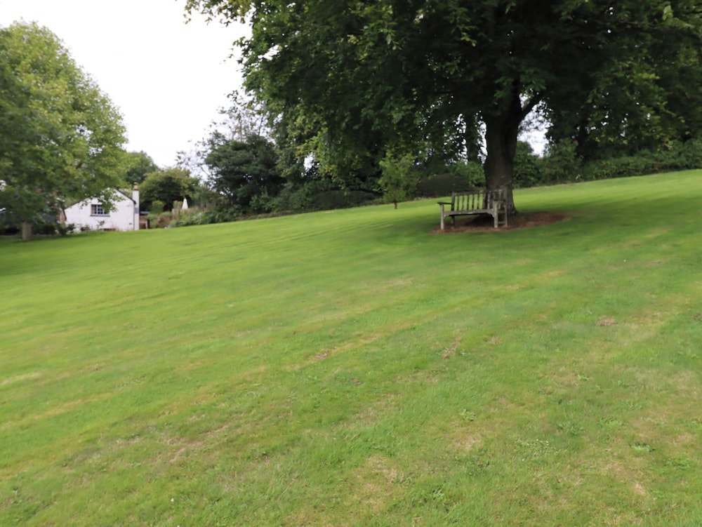 Hole Farm Stables