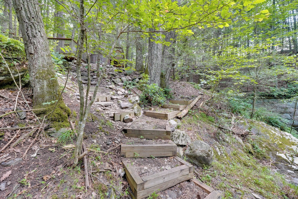 Creek Dips & Smores: Catskills Gem