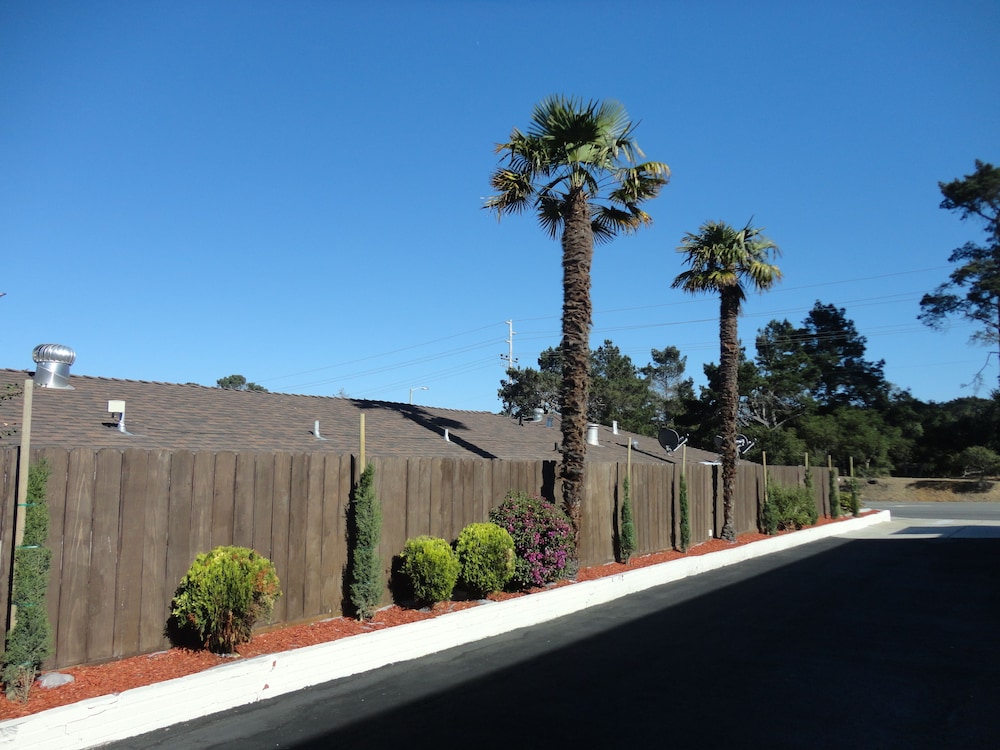 Photo 41