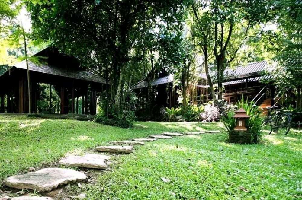 Viva Chiang Mai