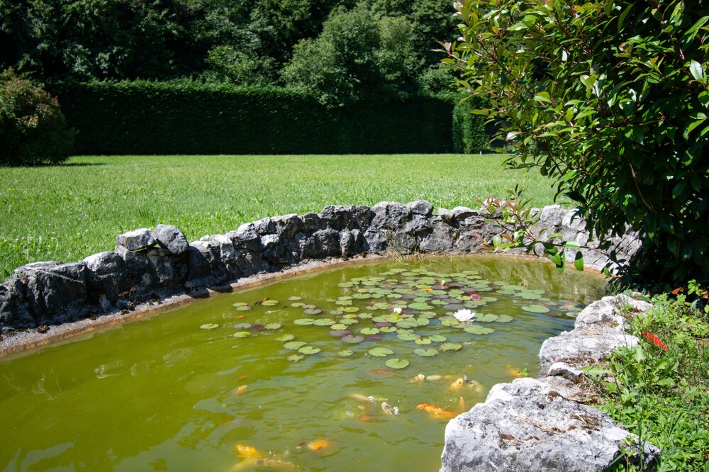 Photo 48
