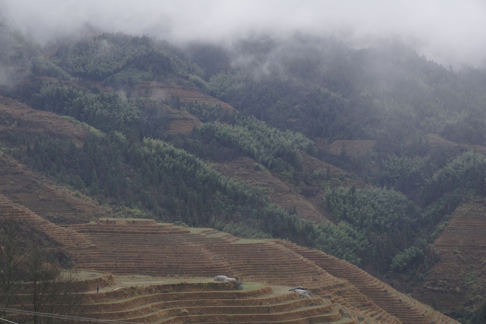 Longji Rice Terraces Hostel