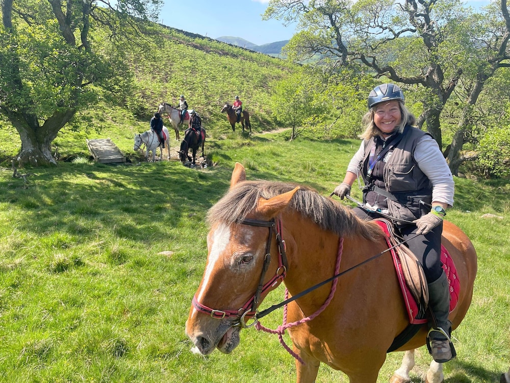 Scottish Equi B&B