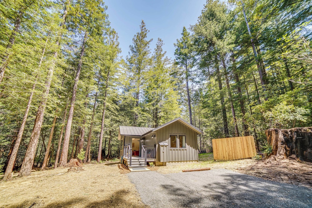 Peaceful Mendocino Cottage Surrounded By Redwoods view 3
