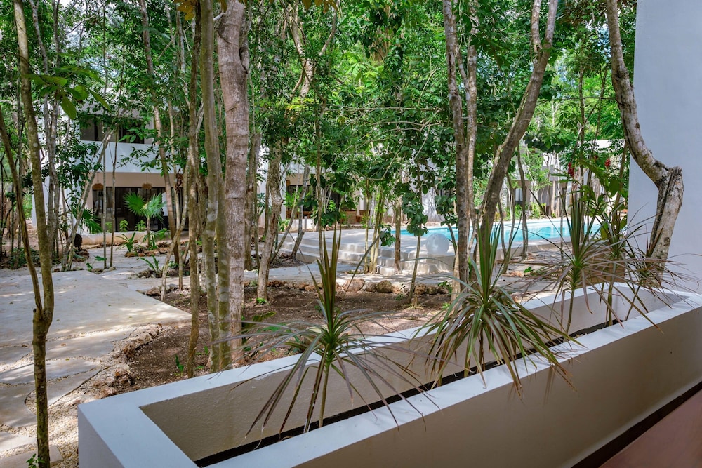 Villa Ek Balam Resort Pool AC Fast Internet