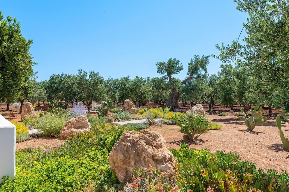 TD Lamia Porta Rossa Countryside w Olive Trees view 5