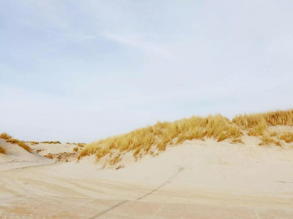 Inviting Dune Chalet in Hollum Near Golf Course