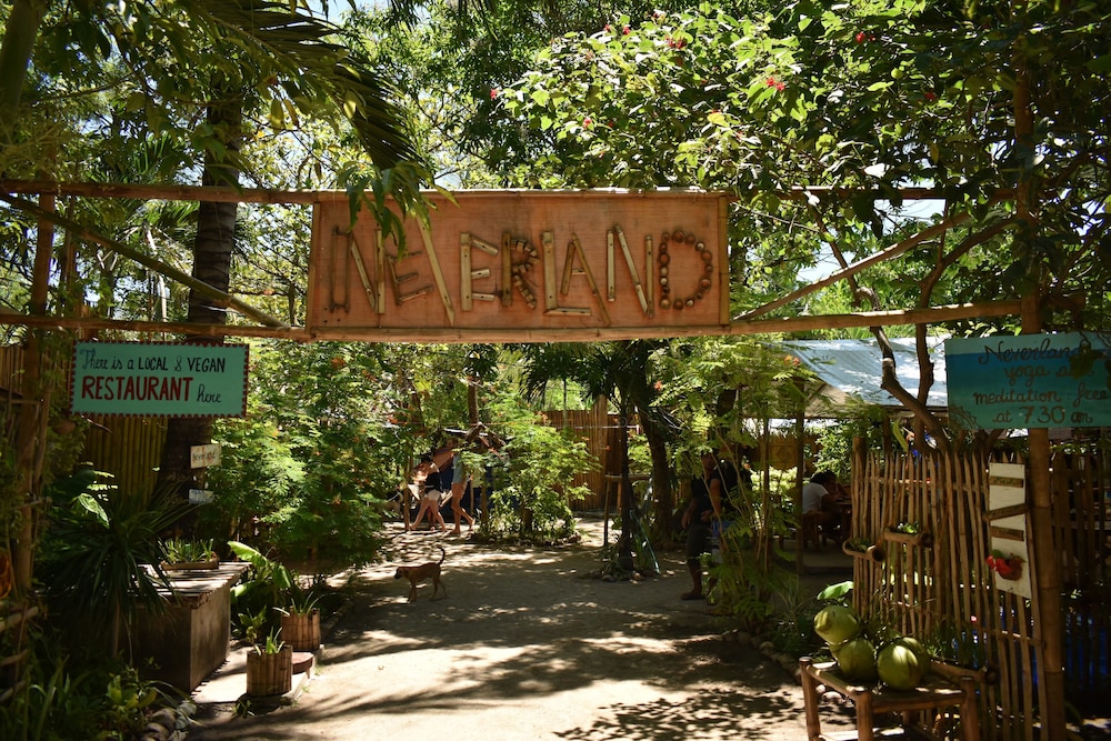 Neverland - Hostel view 2