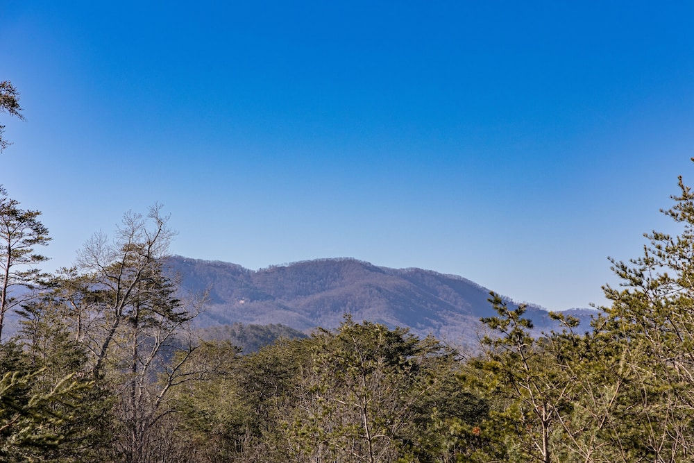 Windsong - Two Bedroom Cabin view 5