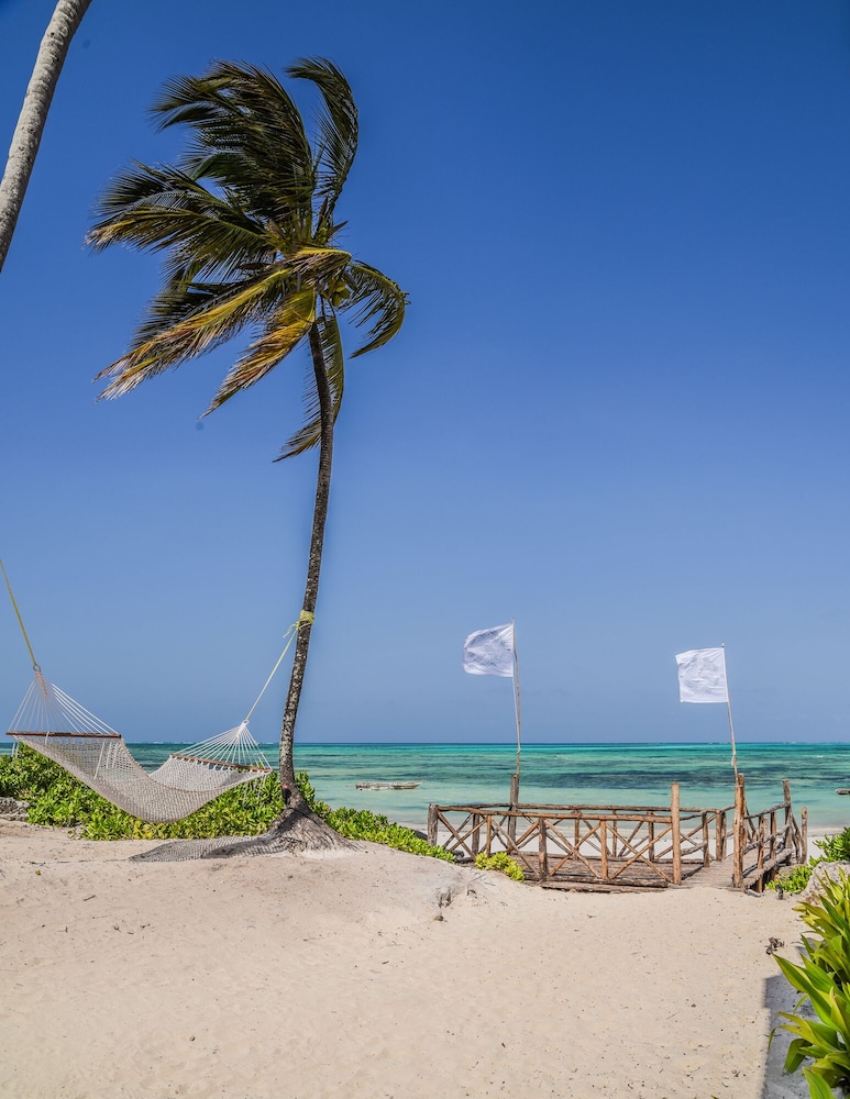 Pili Pili Boutique Lodge view 5