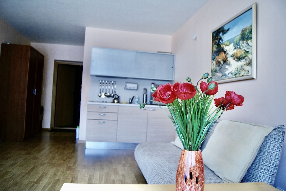 Uzkanaves Apartments view 5