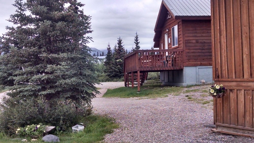 DENALI'S ALASKAN SPRUCE CABINS
