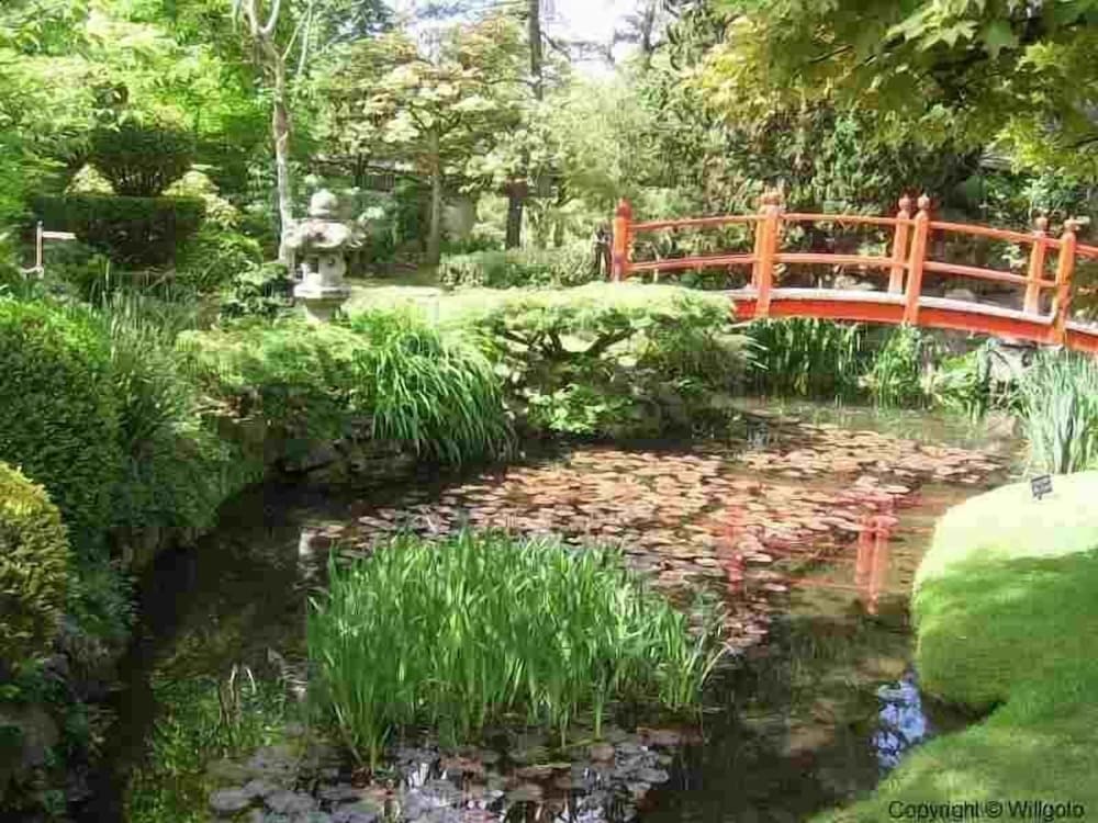 Photo 51