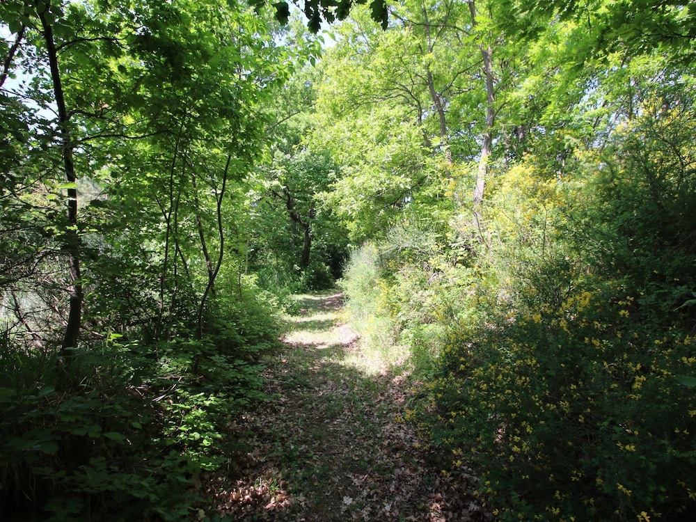 Pet-friendly Retreat view 5