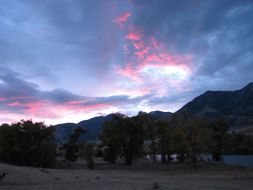 Paradise Gateway B&B and Vacation Homes