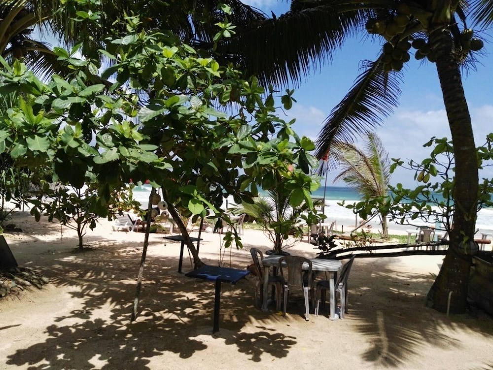 Photo 26