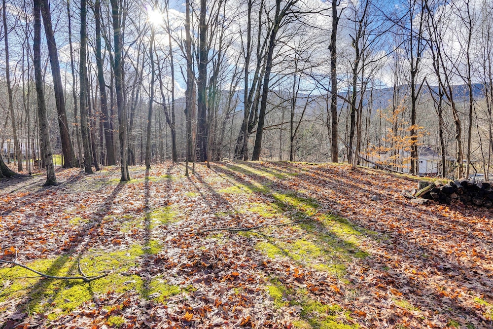 Mtn Views + On-site Hiking Trails: Catskills Cabin