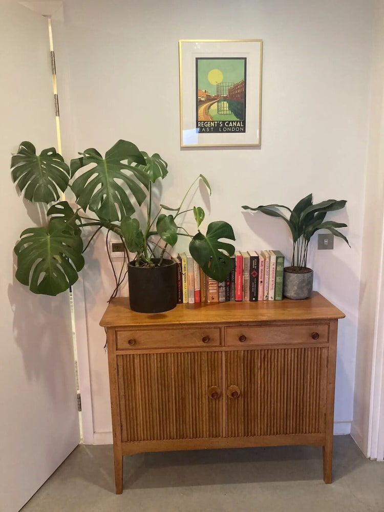 Pet Friendly 1 Bedroom Apartment in London Fields