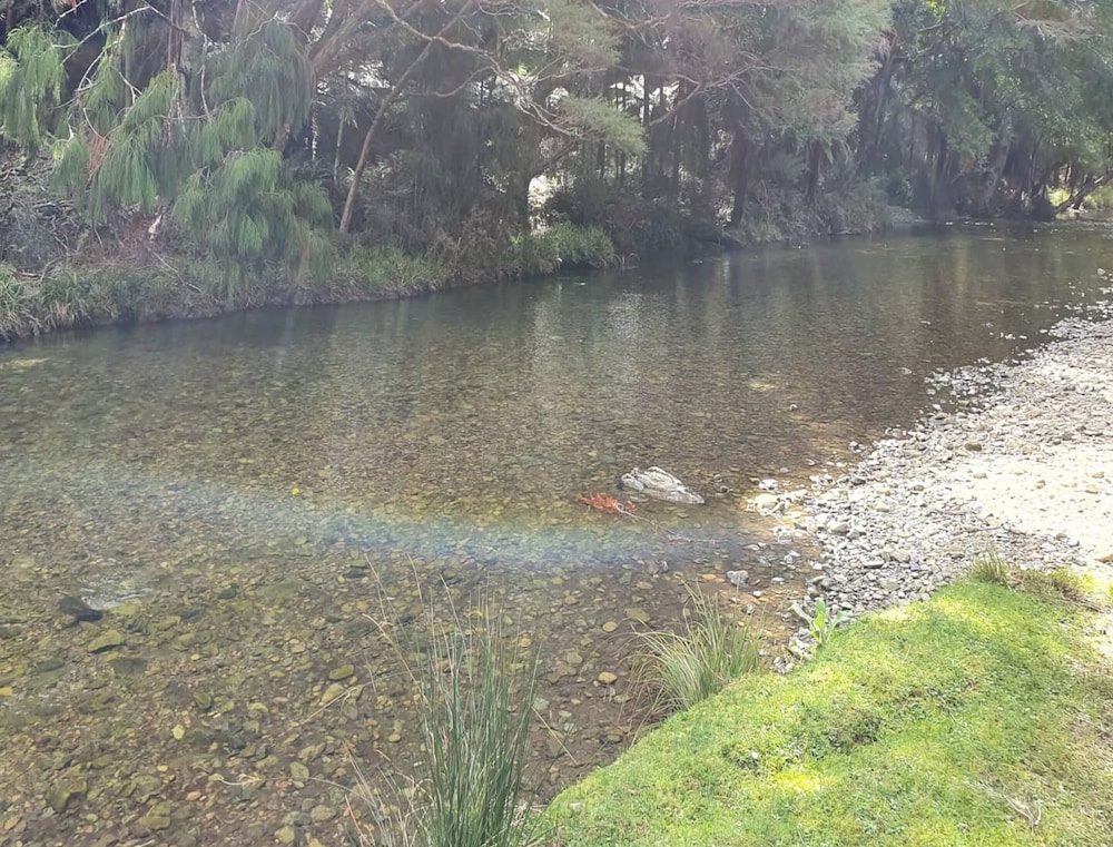 Photo 42