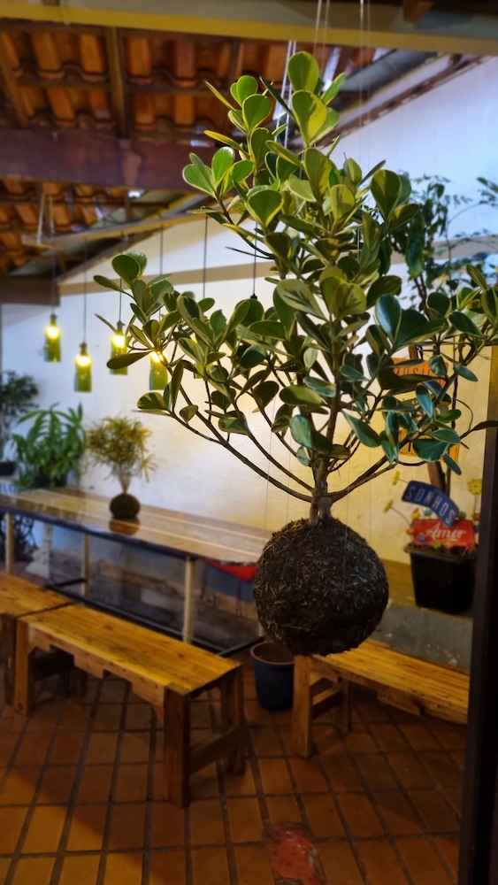 Savassi Hostel Loft