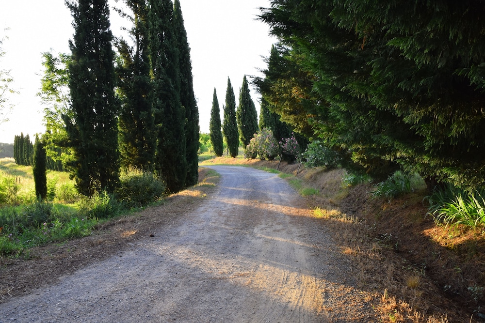 Tenuta Le Colonie