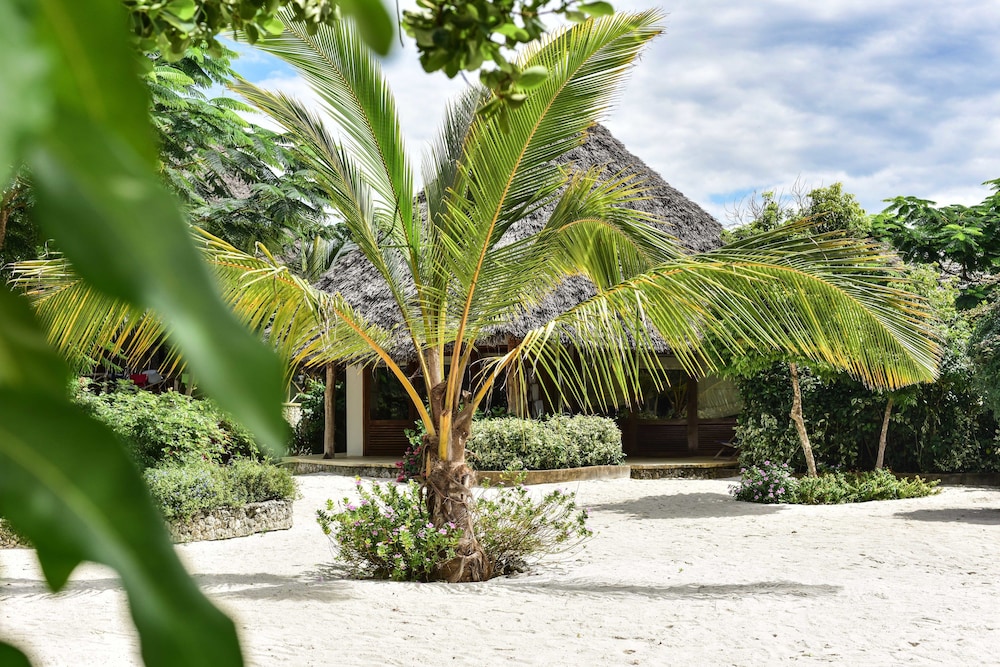 Kiwengwa Vacations - Marafiki Bungalows - Property Image 65