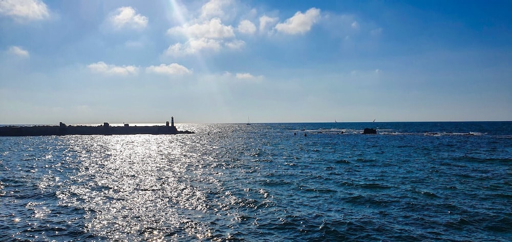 Nitsana Cachemire in Tel Aviv-yafo