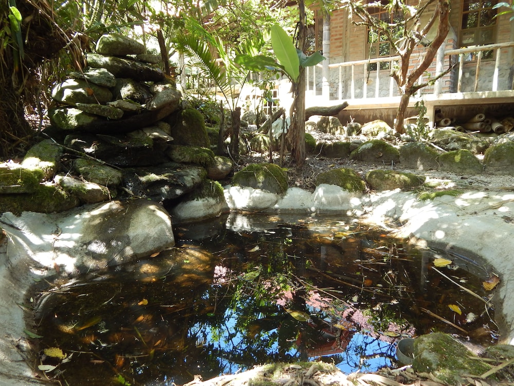 Photo 29