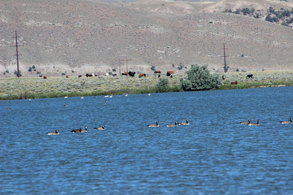 Monster Lake Ranch