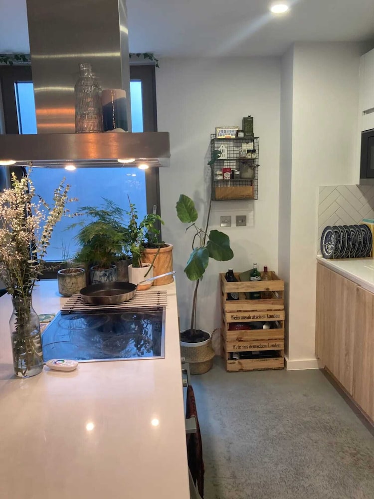 Pet Friendly 1 Bedroom Apartment in London Fields