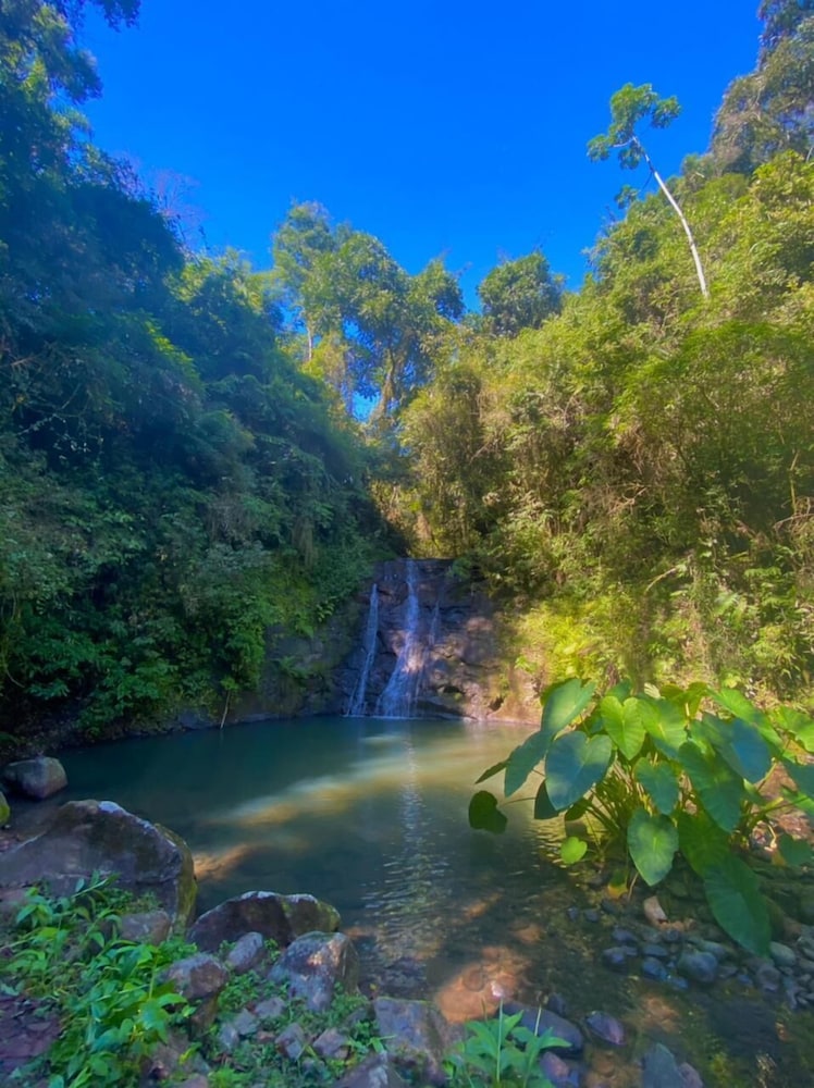 Pousada Portal da Cachoeira view 4