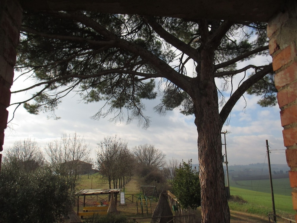 Le More e I Gelsomini