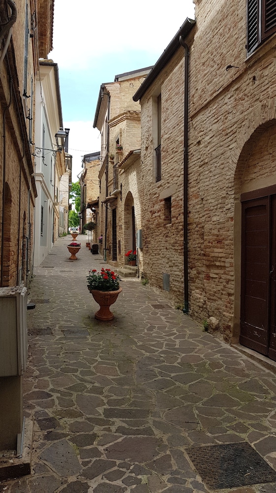 Photo 46