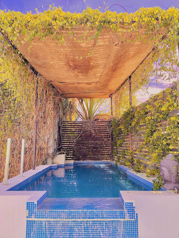 Perro Surfero Hotel Boutique - Todos Santos, BCS