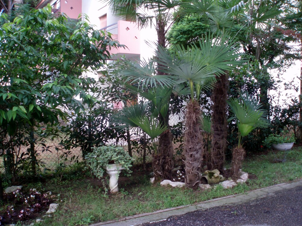 Photo 31
