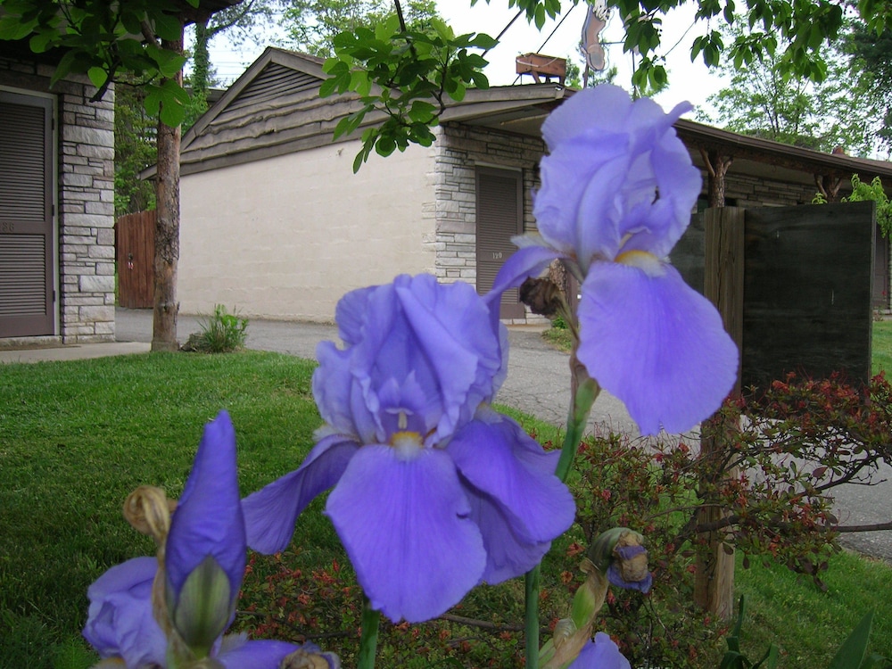 Photo 18