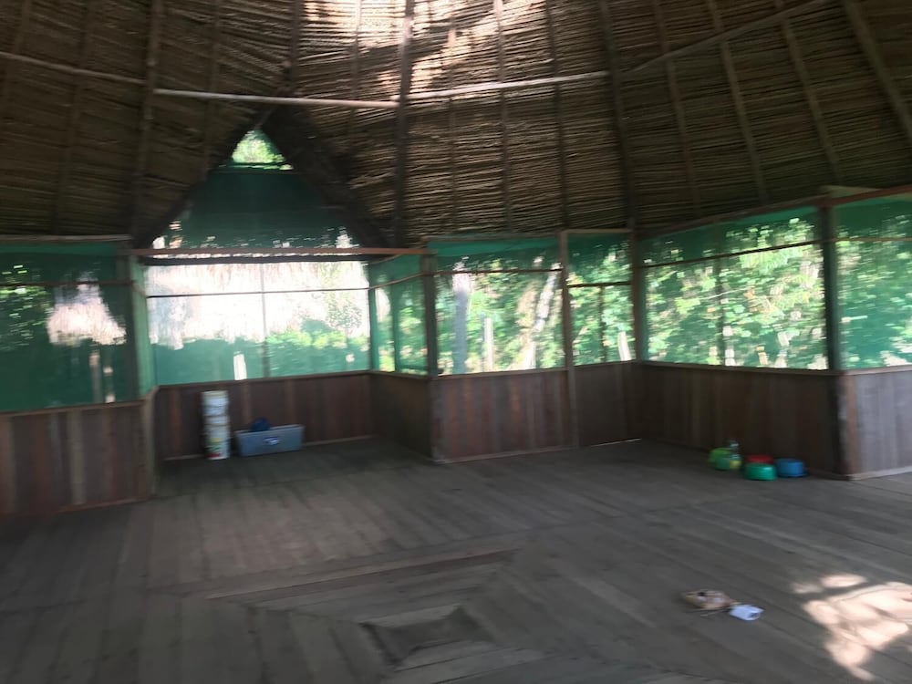 Ayahuaska
