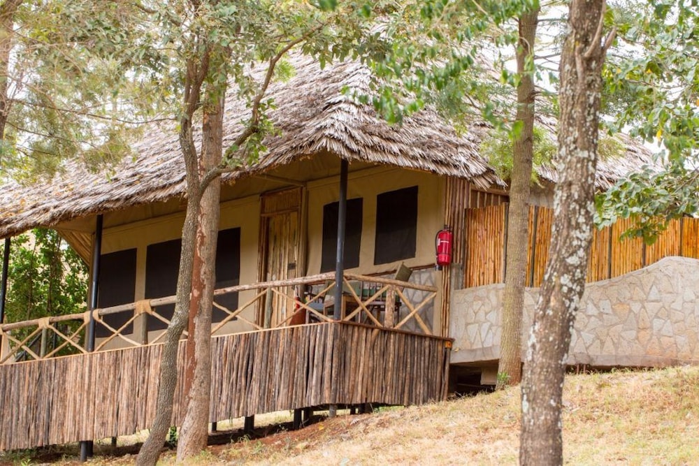 Ngorongoro Forest Tented Lodge