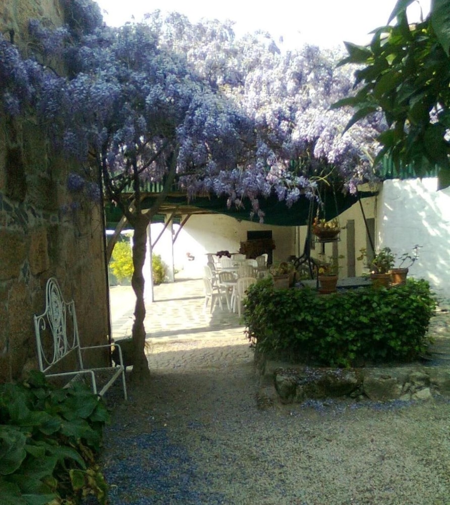 Photo 49