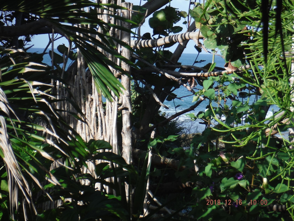 Kudehya Guesthouse