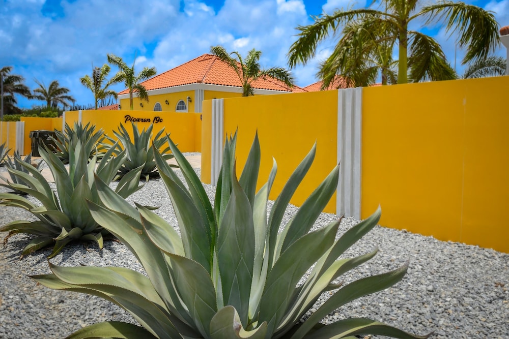 Picaron Villas in Santa Cruz