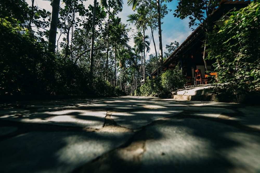 Thuy Bieu Homestay