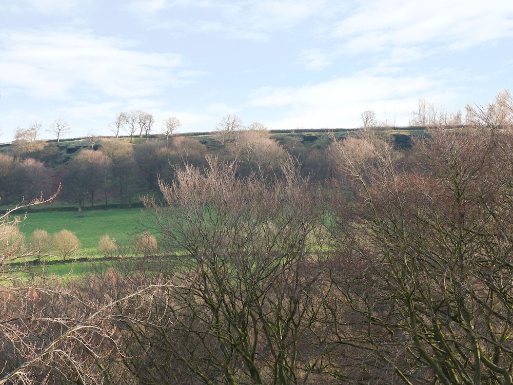 One Eight Three Guest Cottage view 4