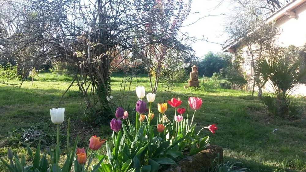 Domaine Mongiron