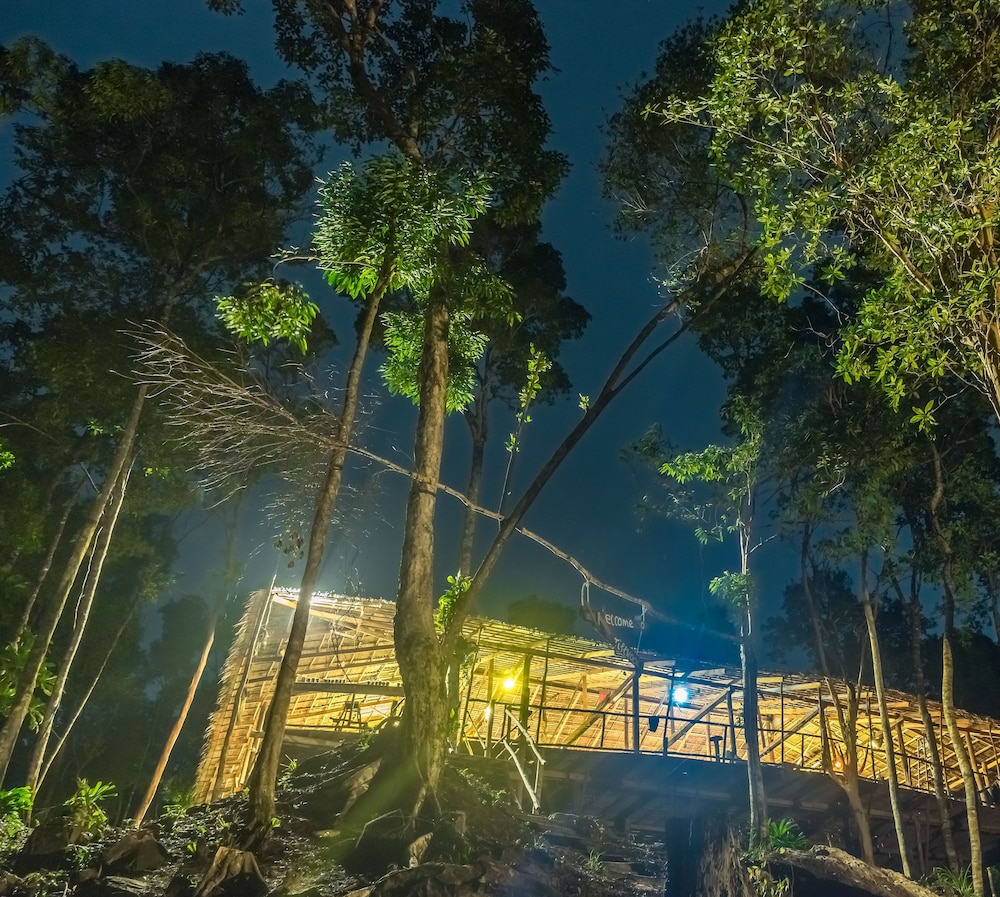 Driftwood Hostel and Bungalows