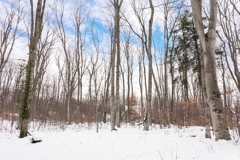 Sugarloaf Chalet 3BDR Loft 2510