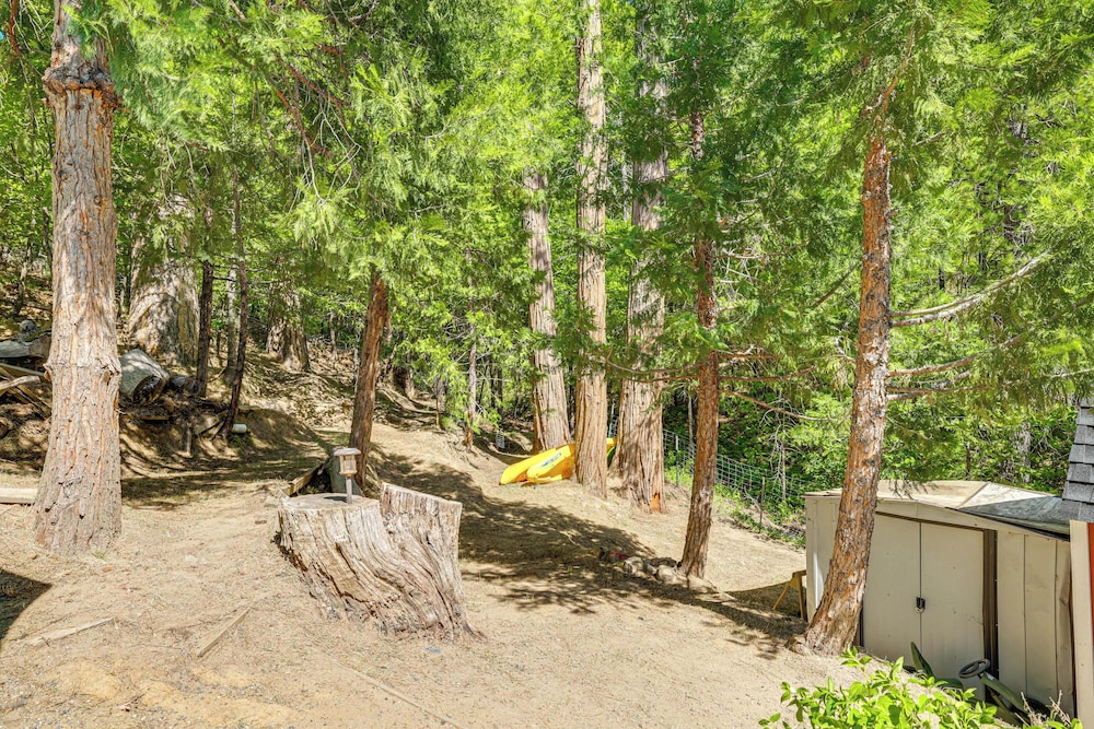 Peaceful Forest Views & Patio: Twain Harte Home